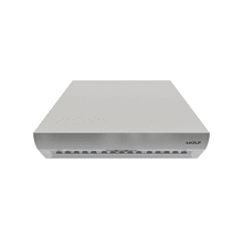PI363418 (Campana de ISLA 36″) Wolf